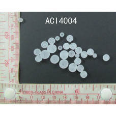 ACI4004