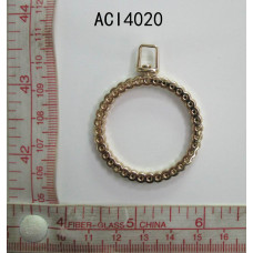 ACI4020