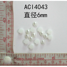 ACI4043