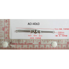 ACI4063_1