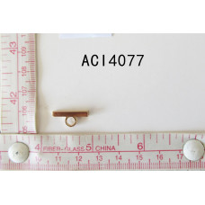 ACI4077