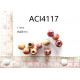 ACI4117