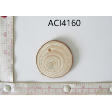 ACI4160