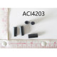 ACI4203