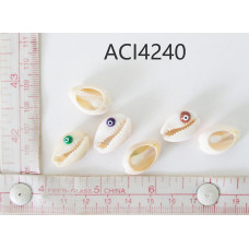 ACI4240