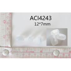 ACI4243