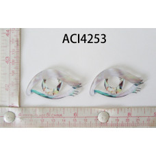 ACI4253