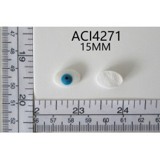 ACI4271