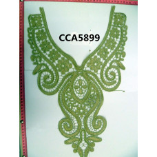 CCA5899