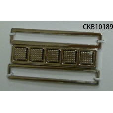 CKB10189