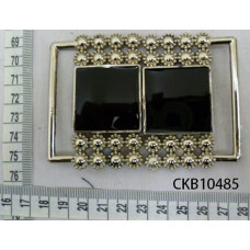 CKB10485