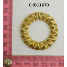 CKB11670