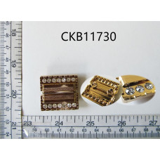 CKB11730