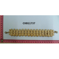 CKB11737