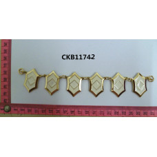 CKB11742