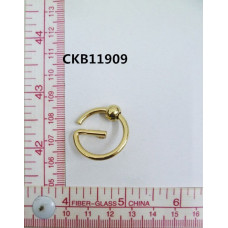 CKB11909