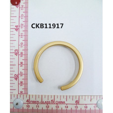 CKB11917