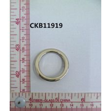 CKB11919