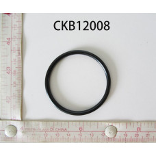 CKB12008