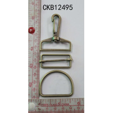 CKB12495