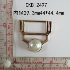 CKB12497