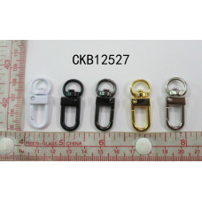 CKB12527