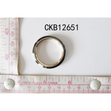 CKB12651