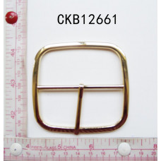 CKB12661