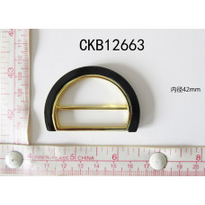 CKB12663