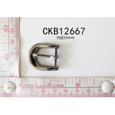 CKB12667