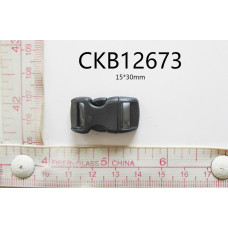 CKB12673