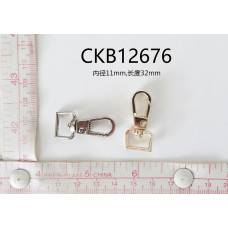 CKB12676