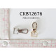 CKB12676