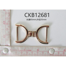 CKB12681