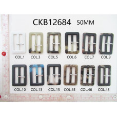 CKB12684