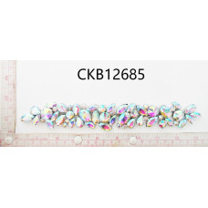 CKB12685