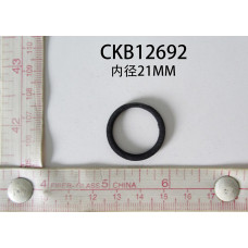 CKB12692