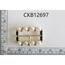 CKB12697