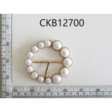 CKB12700