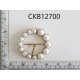 CKB12700