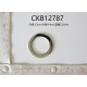 CKB12787