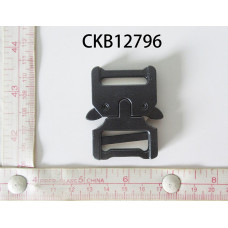 CKB12796