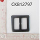 CKB12797