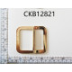 CKB12821