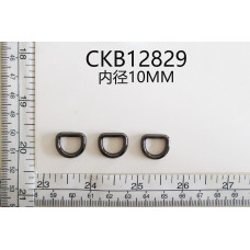 CKB12829.