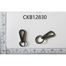 CKB12830