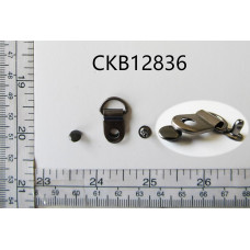 CKB12836