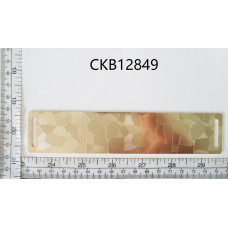 CKB12849