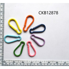 CKB12878