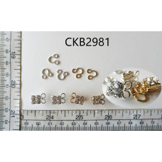 CKB2981